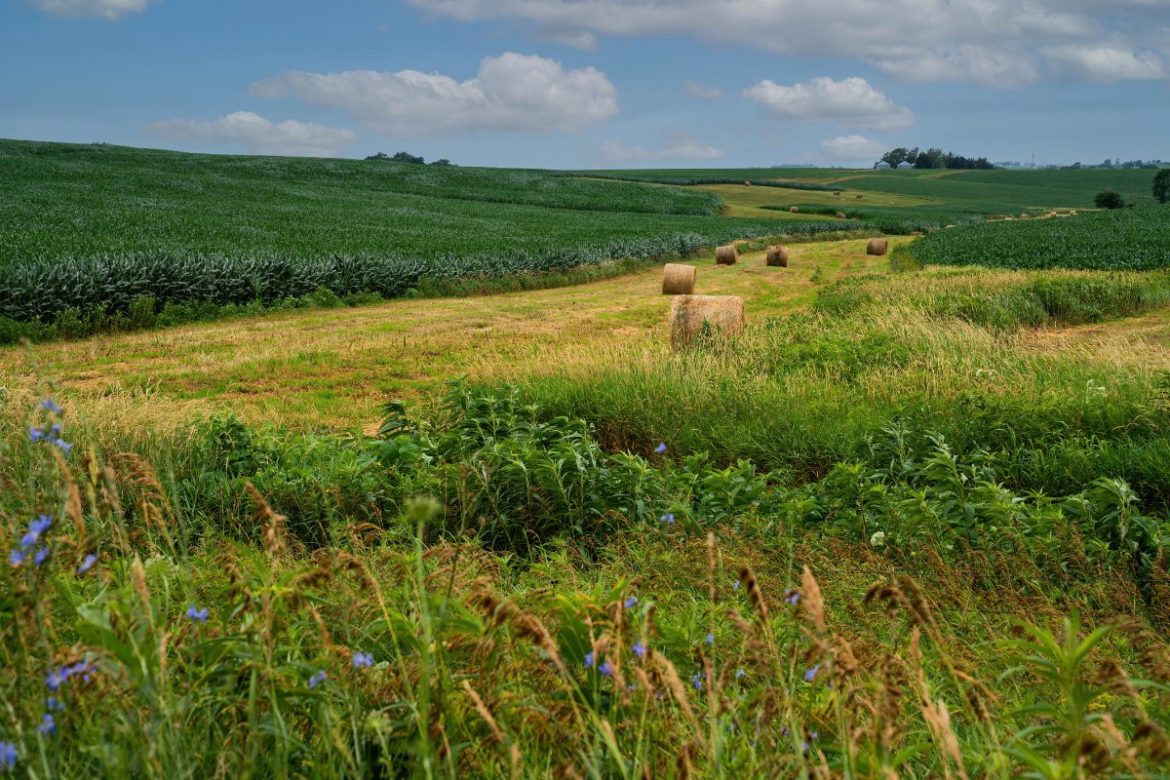 Visualizing iowa s pesticide use farming for public health