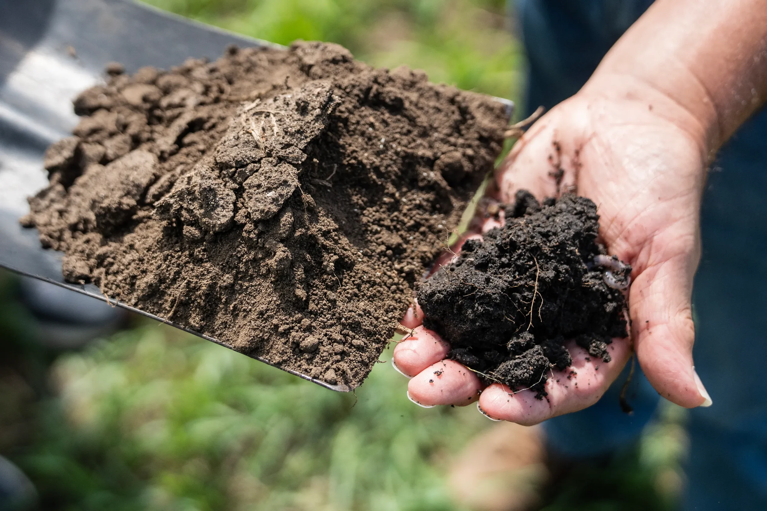 Iowa’s legendary soil, the bedrock of its economy, is losing its richness, new research shows