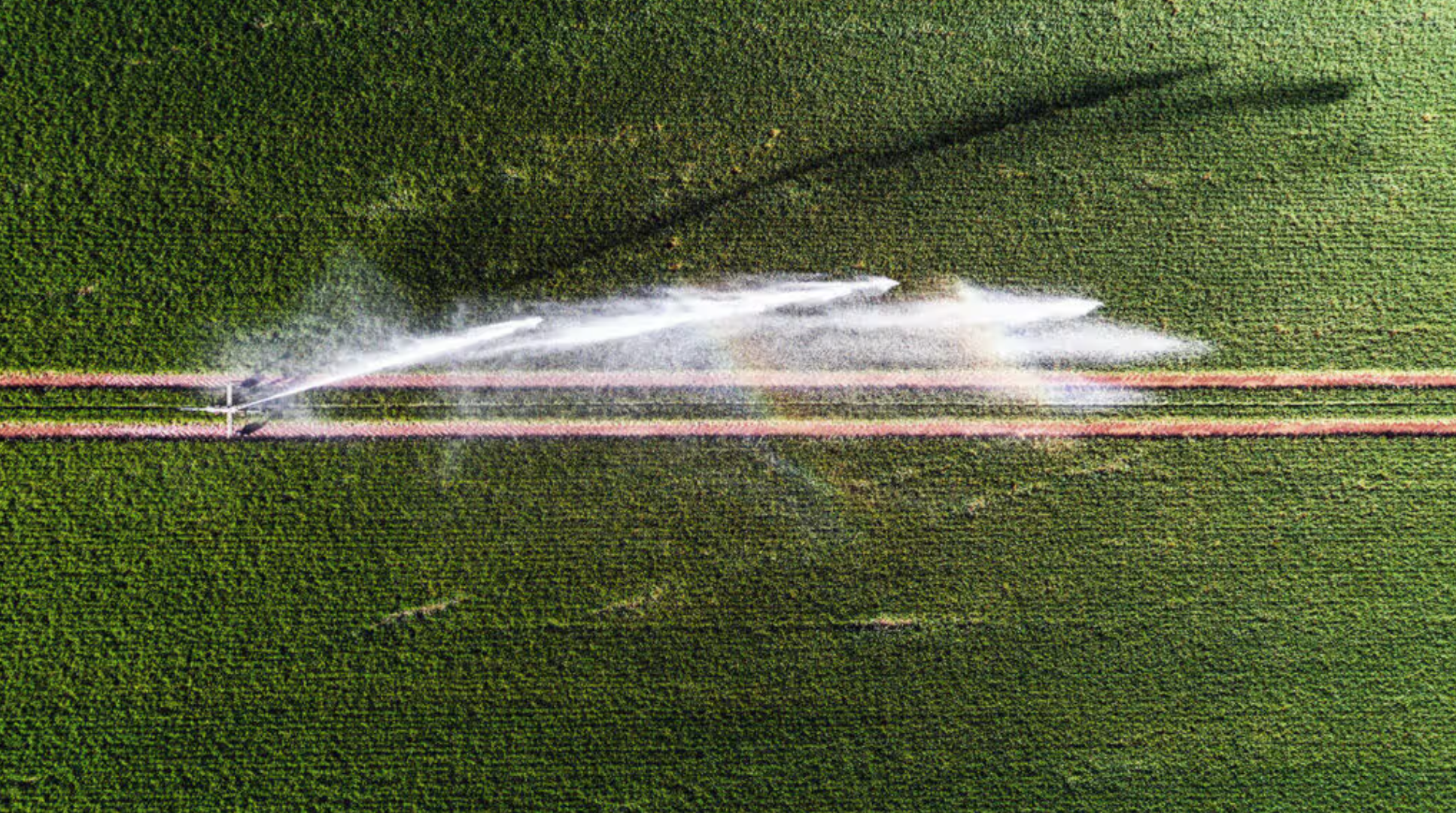 Another 3 common pesticides are now linked to Parkinson’s disease risk