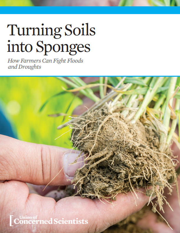 Turning Soils into Sponges How Farmers Can Fight Floods and Droughts